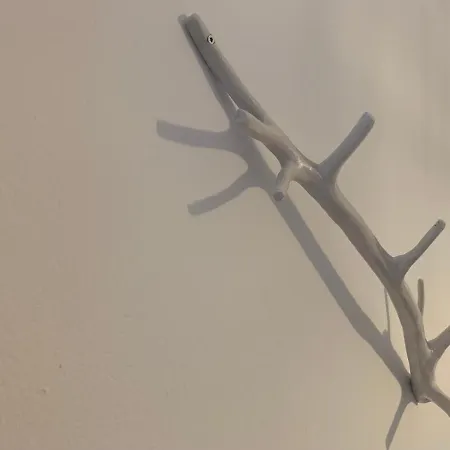 Noufaro Милопотас