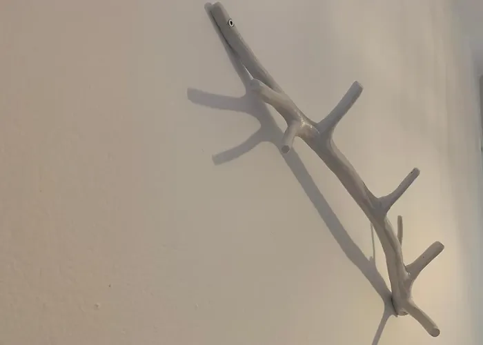 νούφαρο Μυλοπότας